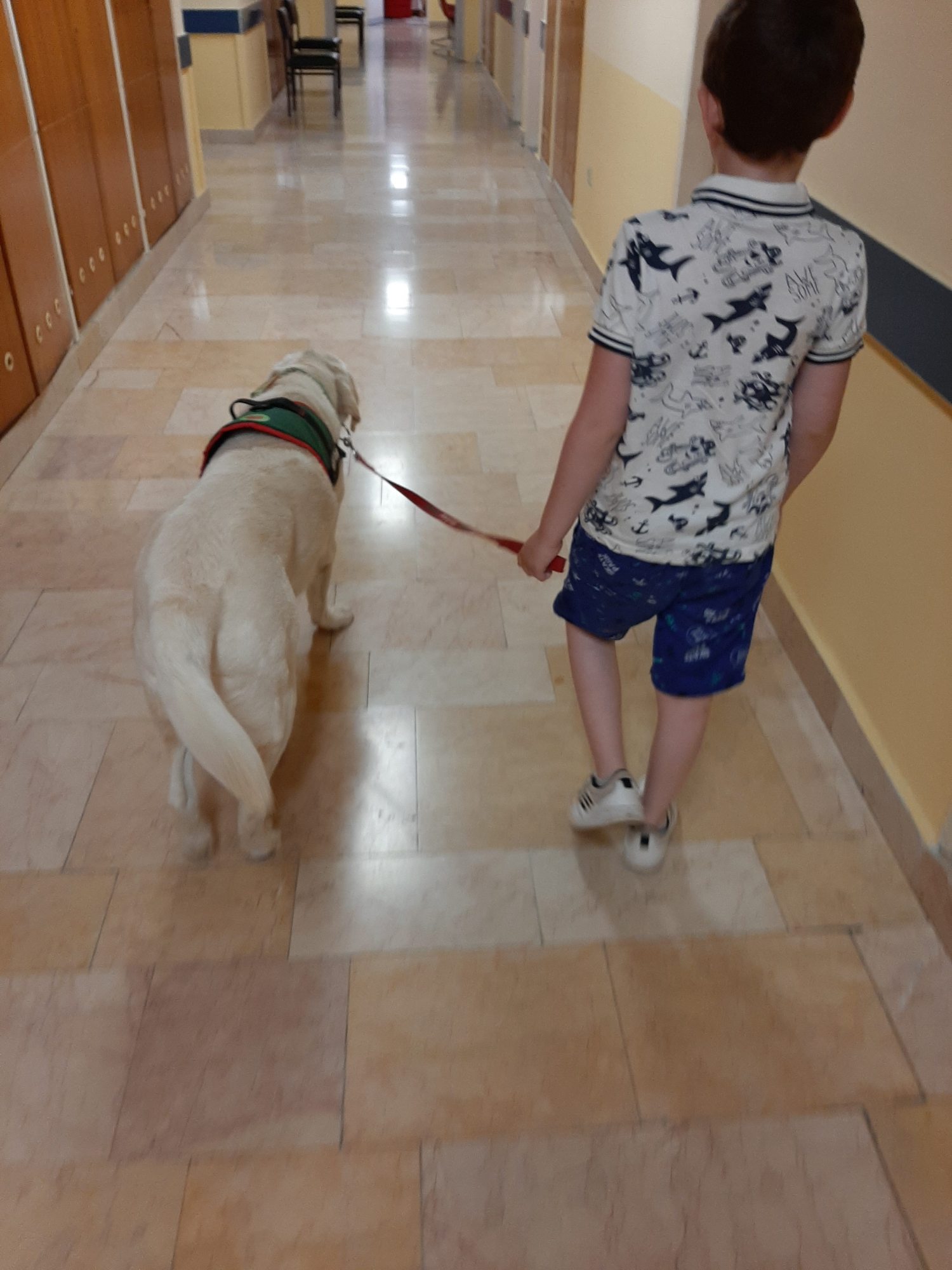 gyermekpszichiátria kutyaterapiával