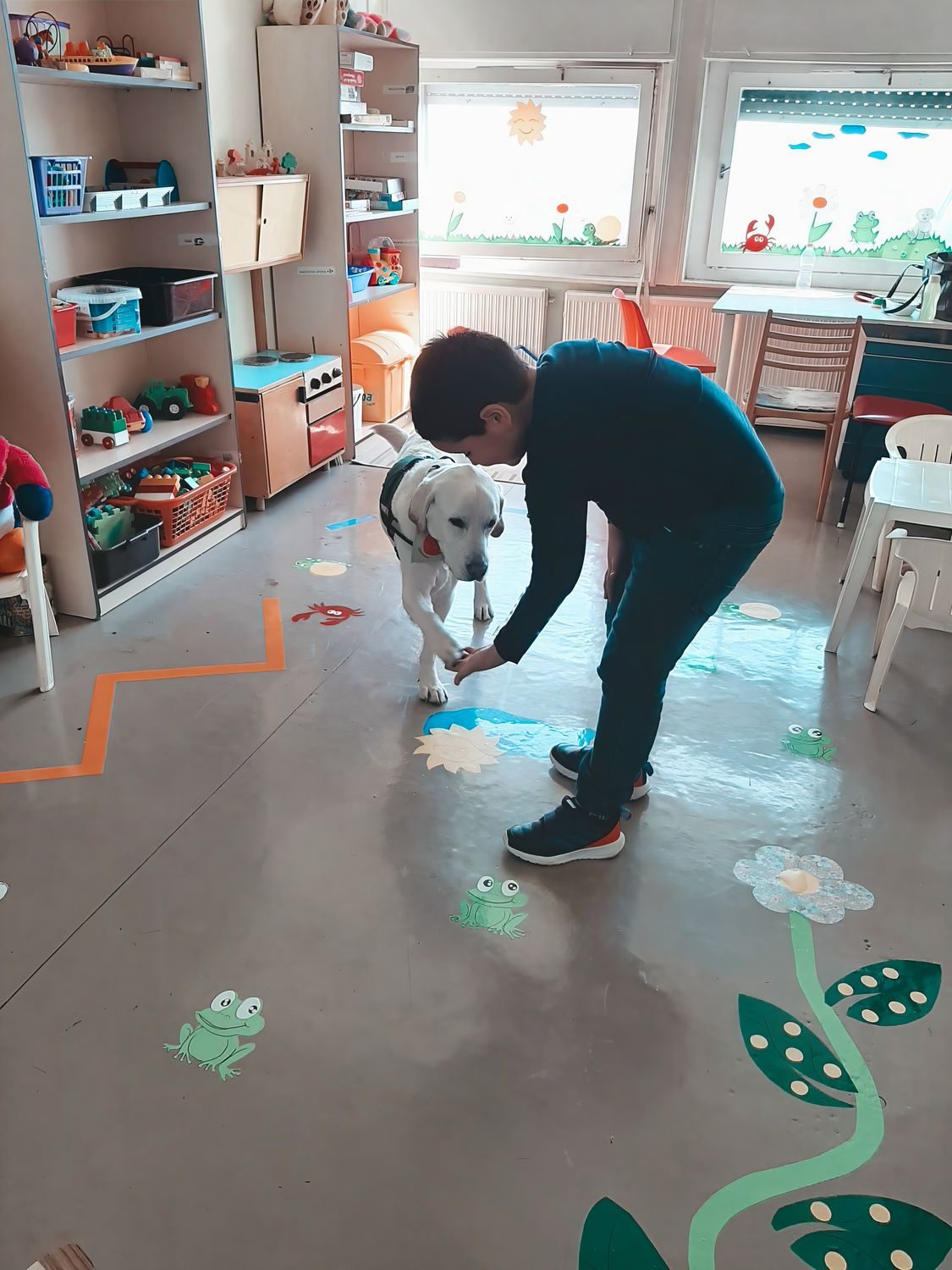 labrador kutyaterápia közben