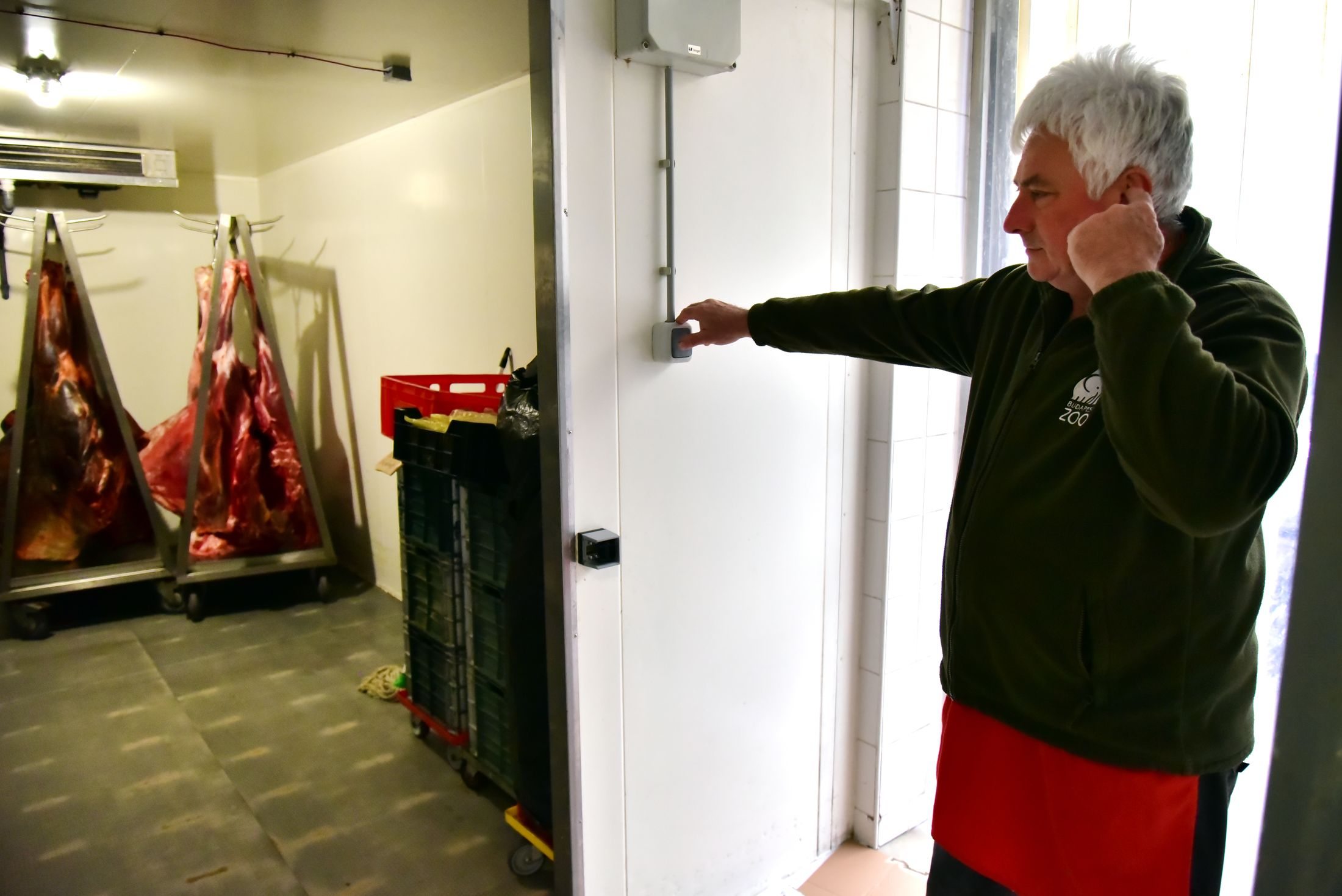 Az etetéshez használt húsok a Fővárosi Állatkertben