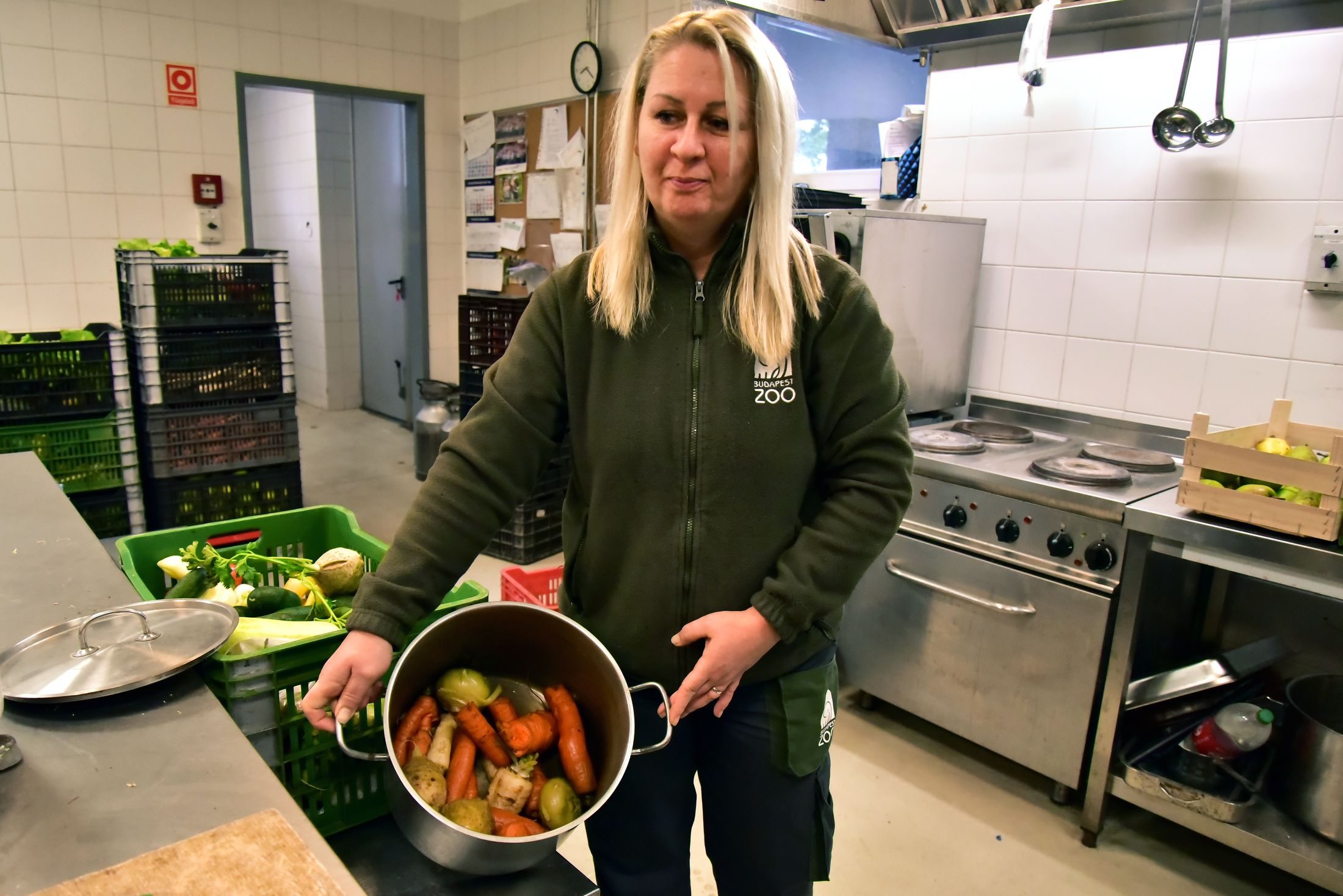 Fő a zöldségleves az Állatkert konyháján