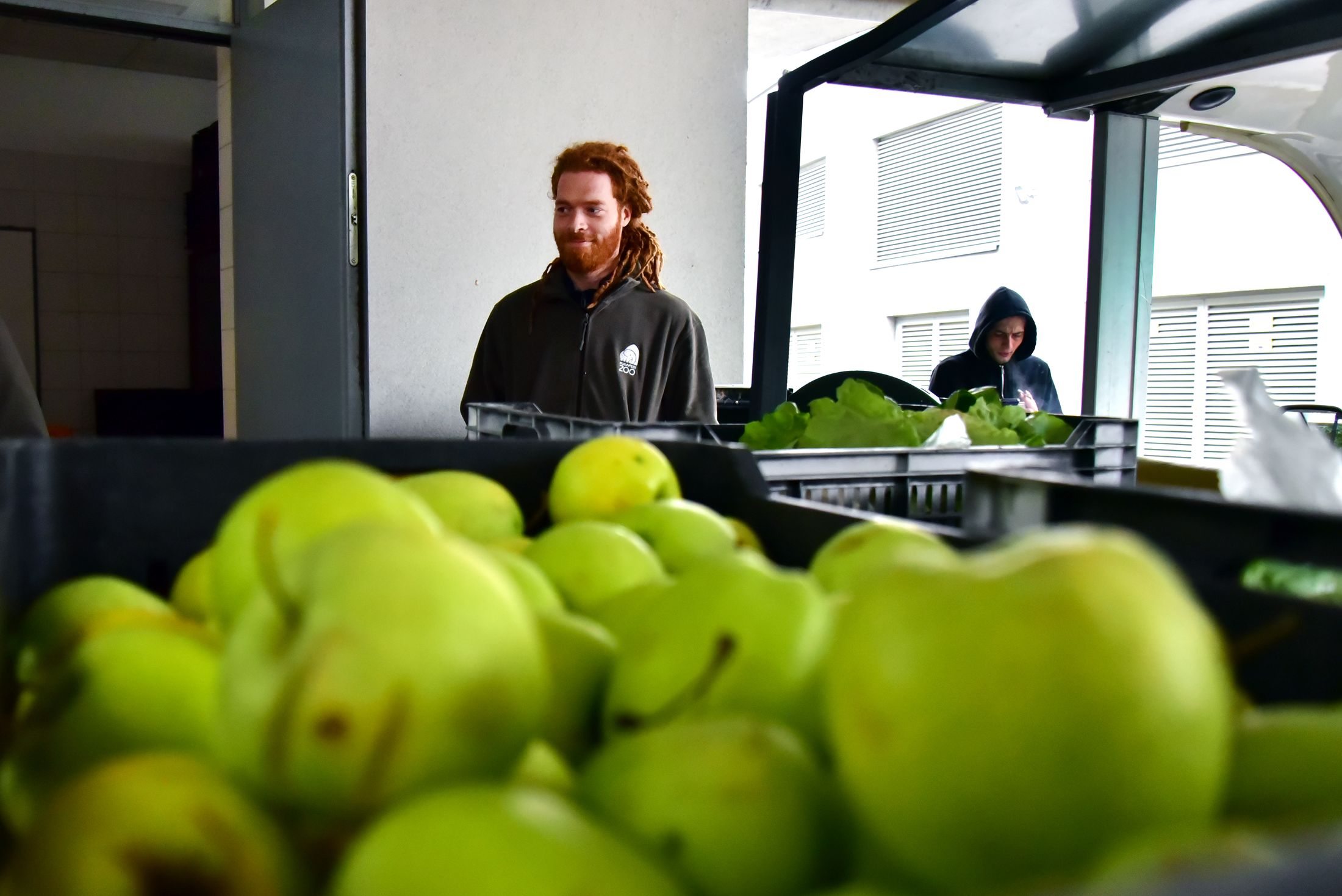 Almák a raktárban a Fővárosi Állatkertben