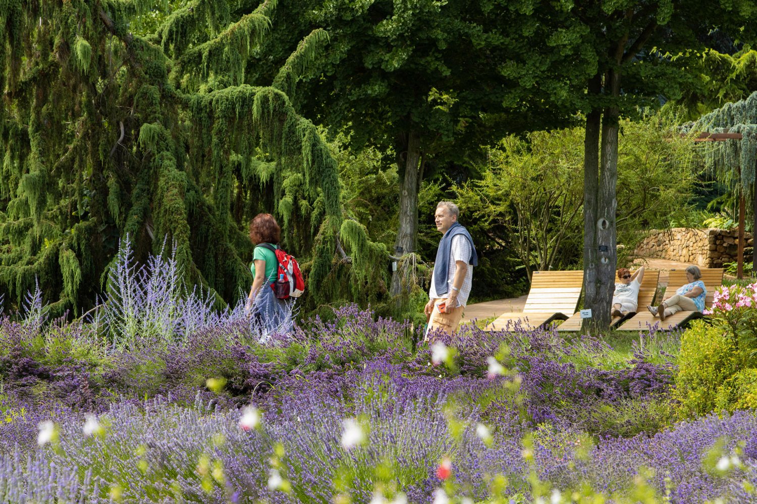 Folly Arborétum és Borászat kép