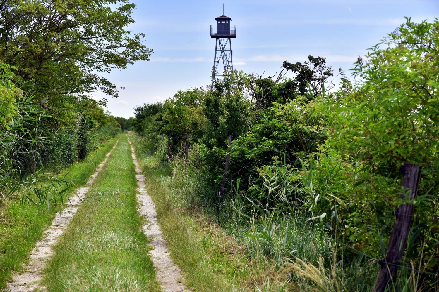 Fertő-Hanság Nemzeti Park kép