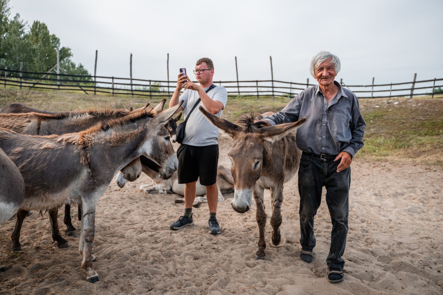 szamárfarm kép