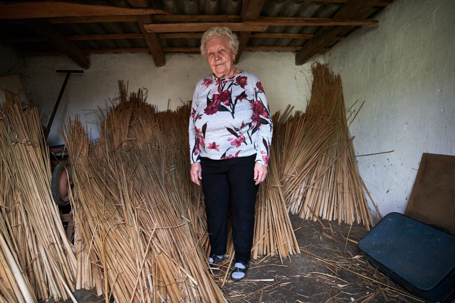 Elvira Kollár Jenőné with a bunches of cattails