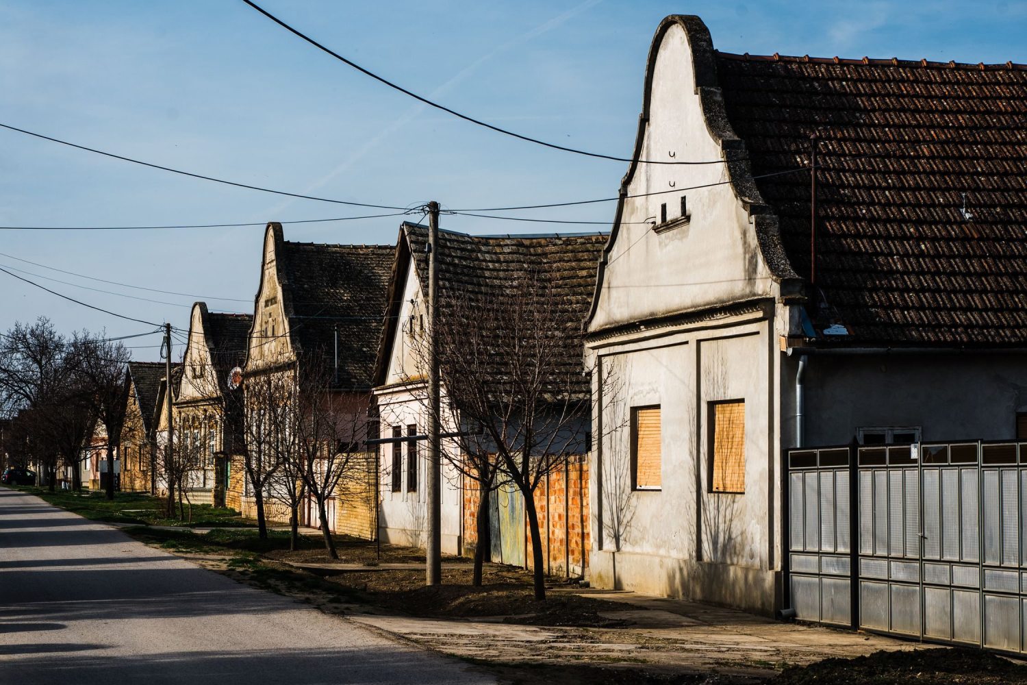 Street in Szelencse, Vojvodina
