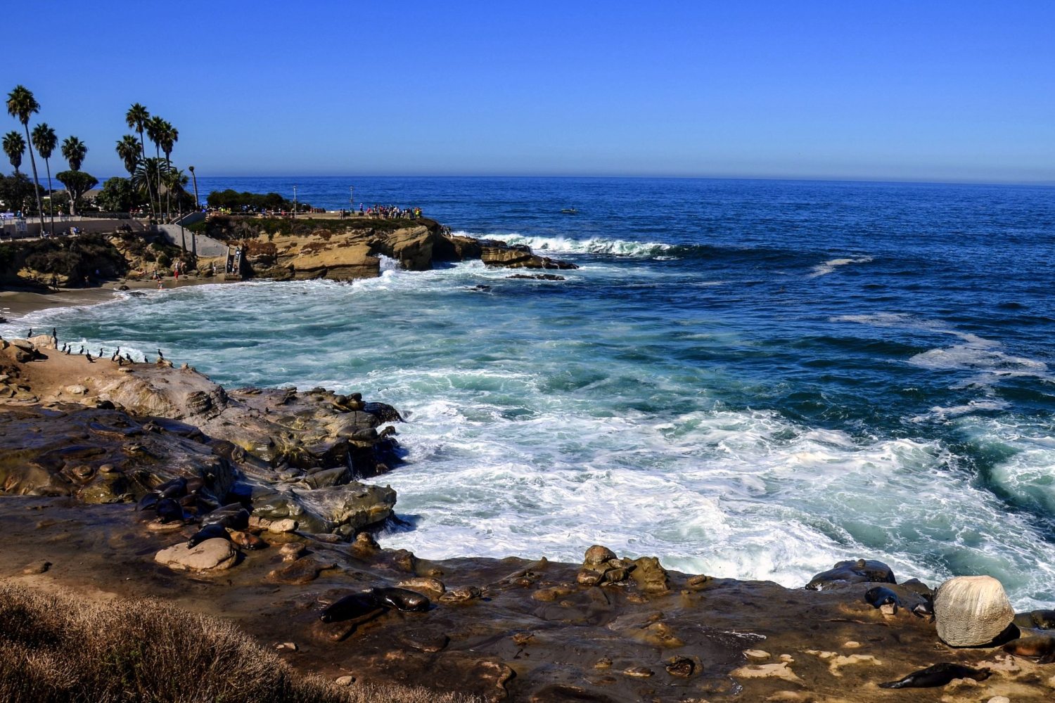 San Diego La Jolla