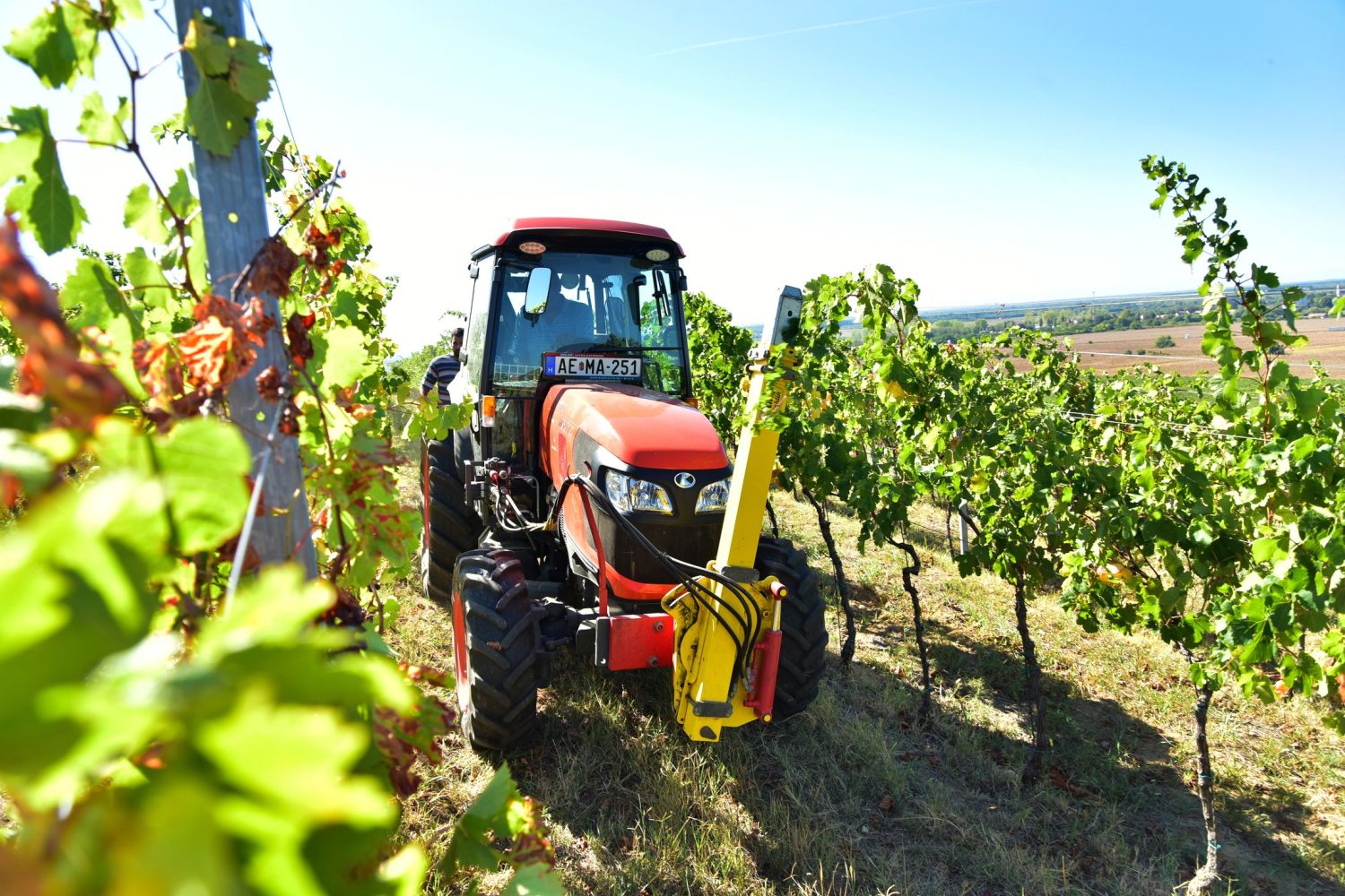 szüret eszközök egyike, traktor