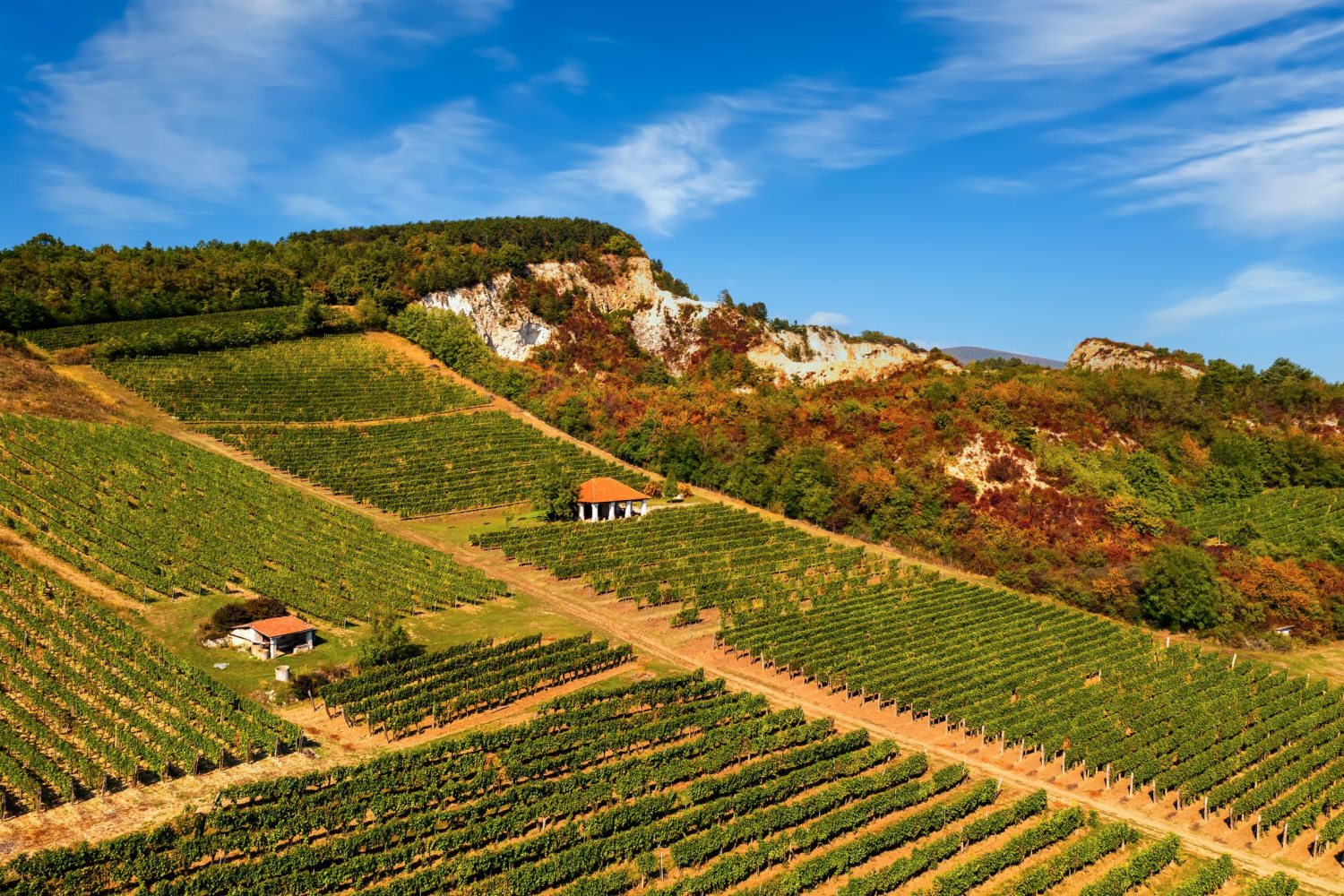 Tokaj látkép