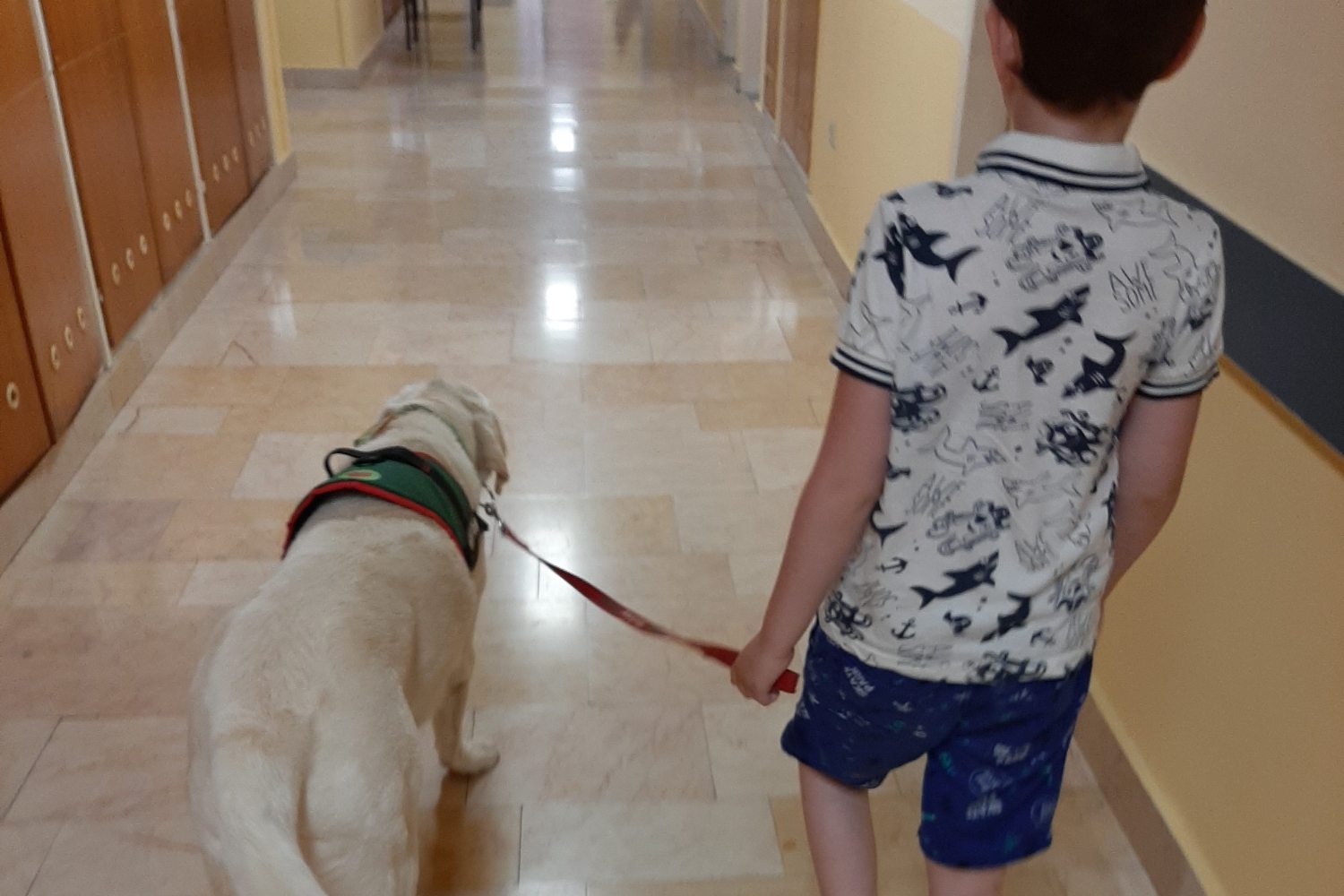 gyermekpszichiátria kutyaterapiával