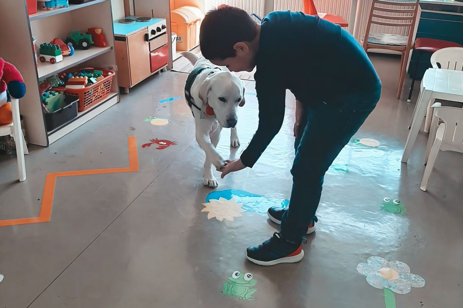 labrador kutyaterápia közben