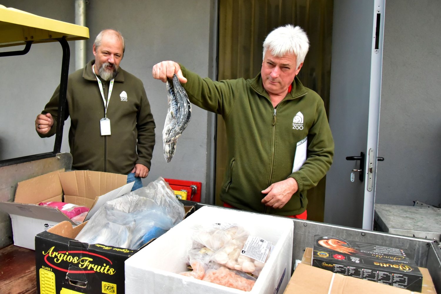 A tengeri állatok eledelét mutatja az Állatkert két munkatársa 