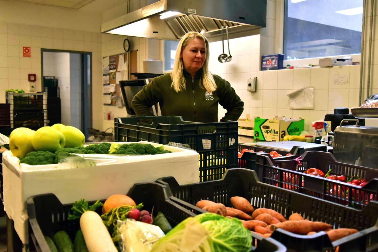 Zöldségek és gyümölcsök az Állatkert raktárában