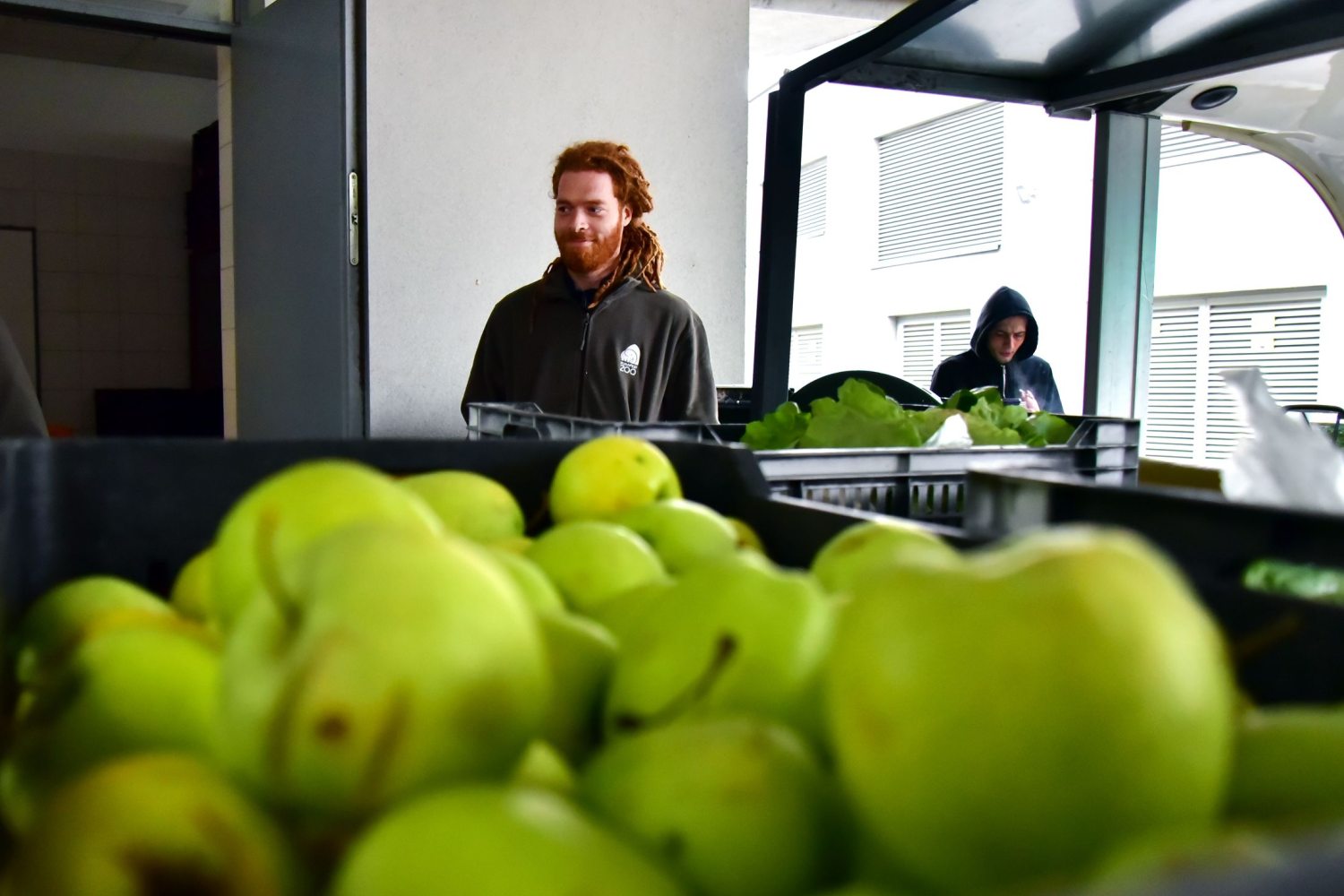 Almák a raktárban a Fővárosi Állatkertben