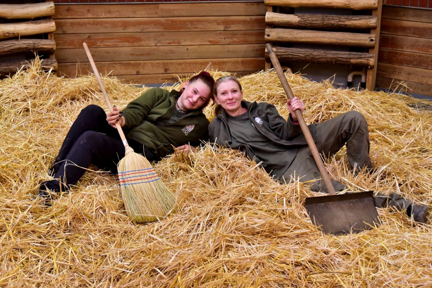 A Fővárosi Állatkert munkatársai a Szavanna Házban