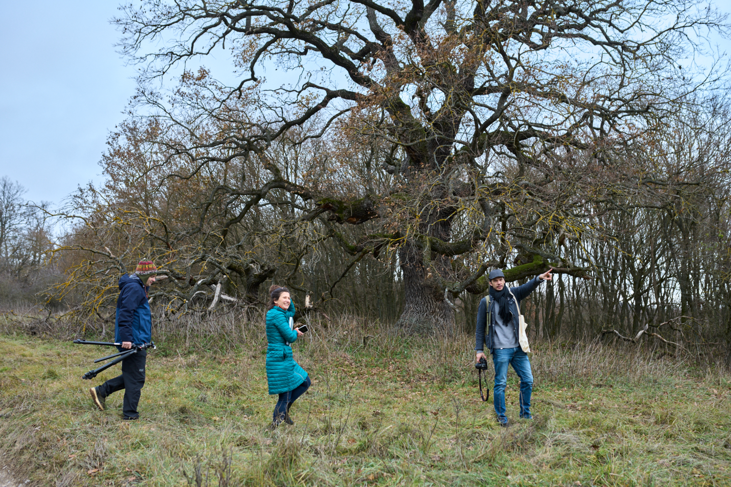 matuzsálem fa könyv írói