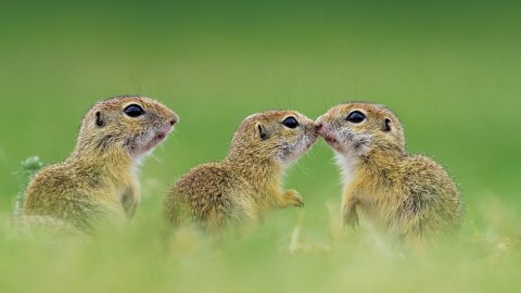 Valaki hoppon marad