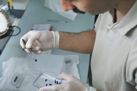 Megtalálták a diabétesz-védőoltást? – Hírek és álhírek a cukorbetegség-kutatásokról