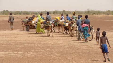 Afrikai migránsok