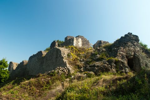 Kép: Aranyok Aranya