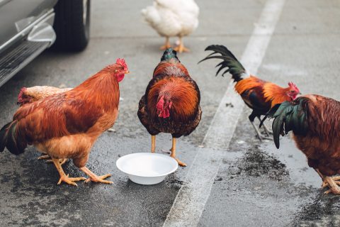 Kép: Unsplash