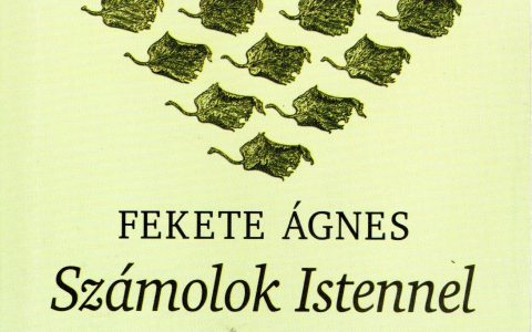 Fekete Ágnes: Számolok Istennel c. könyve