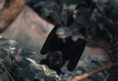 Kép: Unsplash