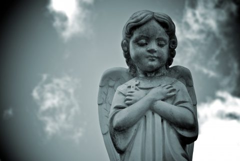 Kép: Needpix