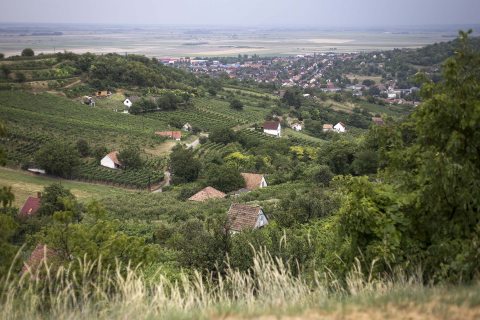 tavaszi kirándulóhelyek egyike, az Alföld
