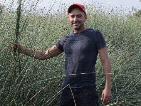 Simon Dávid