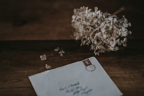 Schäffer Erzsébet novella