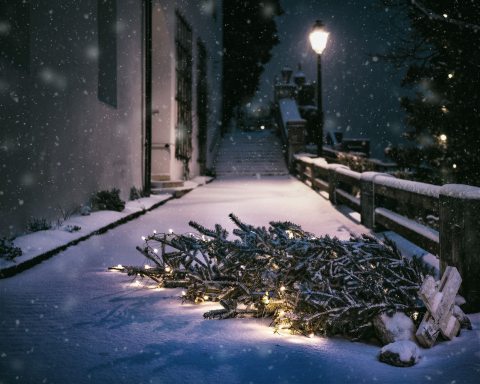 Vízkereszt - Kép: pixabay.com