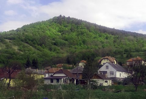 Komlóska