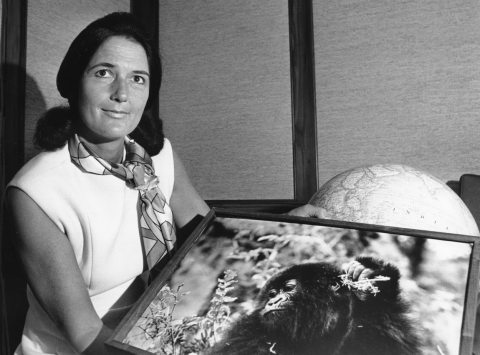 Dian Fossey