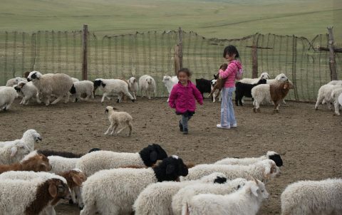 Jelenet az Expedíció a hunok nyomában filmből
