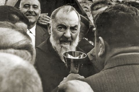 Pio atya