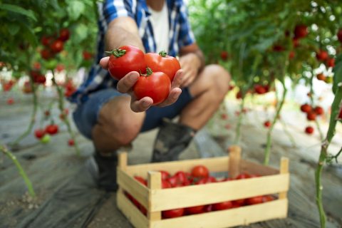 Kép: Freepik