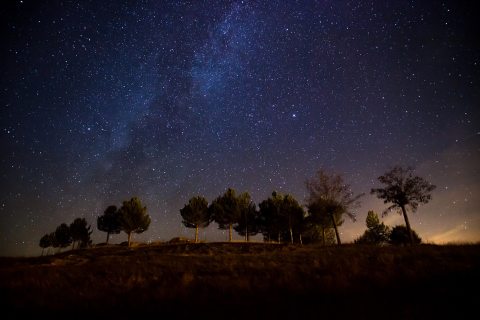 Kép: Freepik