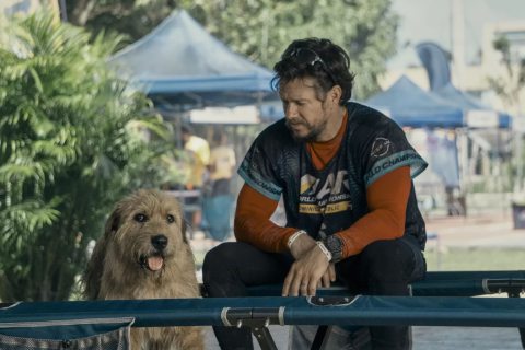 Mark Wahlberg kutyás film jelenetében