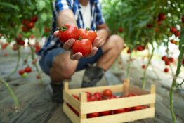 Kép: Freepik