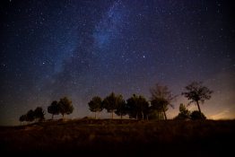Kép: Freepik